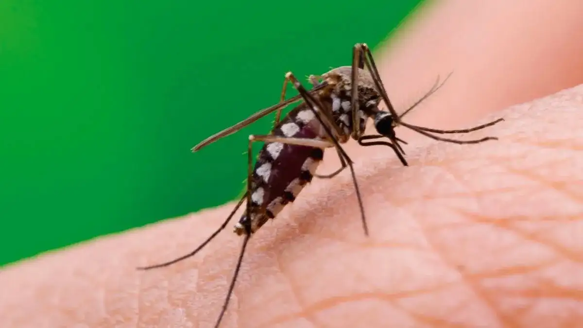 Médicos destacan la importancia de la prevención del dengue.