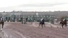 Imputaron al dueño y al jockey de un caballo que murió tras ganar una carrera
