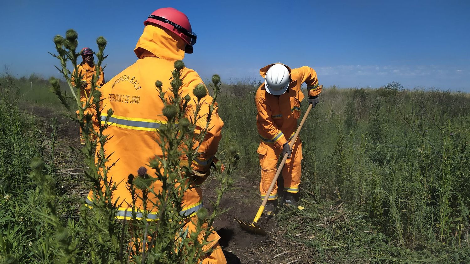 Trabajan para extinguir un foco activo en islas del Delta frente a San Pedro