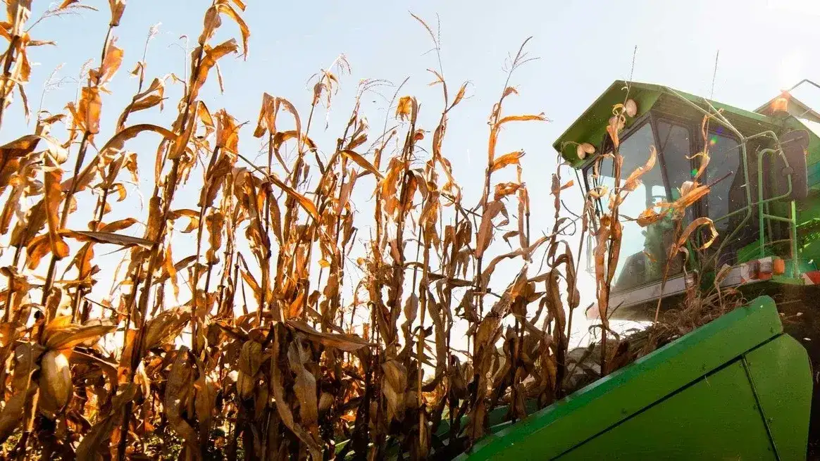 El Niño se perfila como el gran condicionante de la campaña agrícola 2026/27 en Entre Ríos y el país