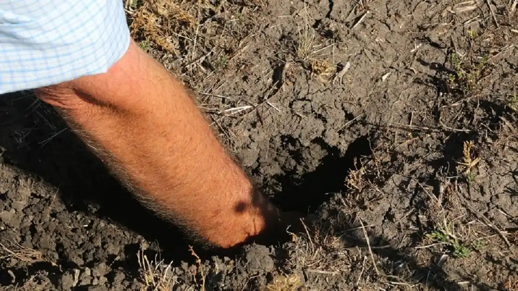 La Federación Agraria de Entre Ríos se reunirá para evaluar el impacto de la sequía