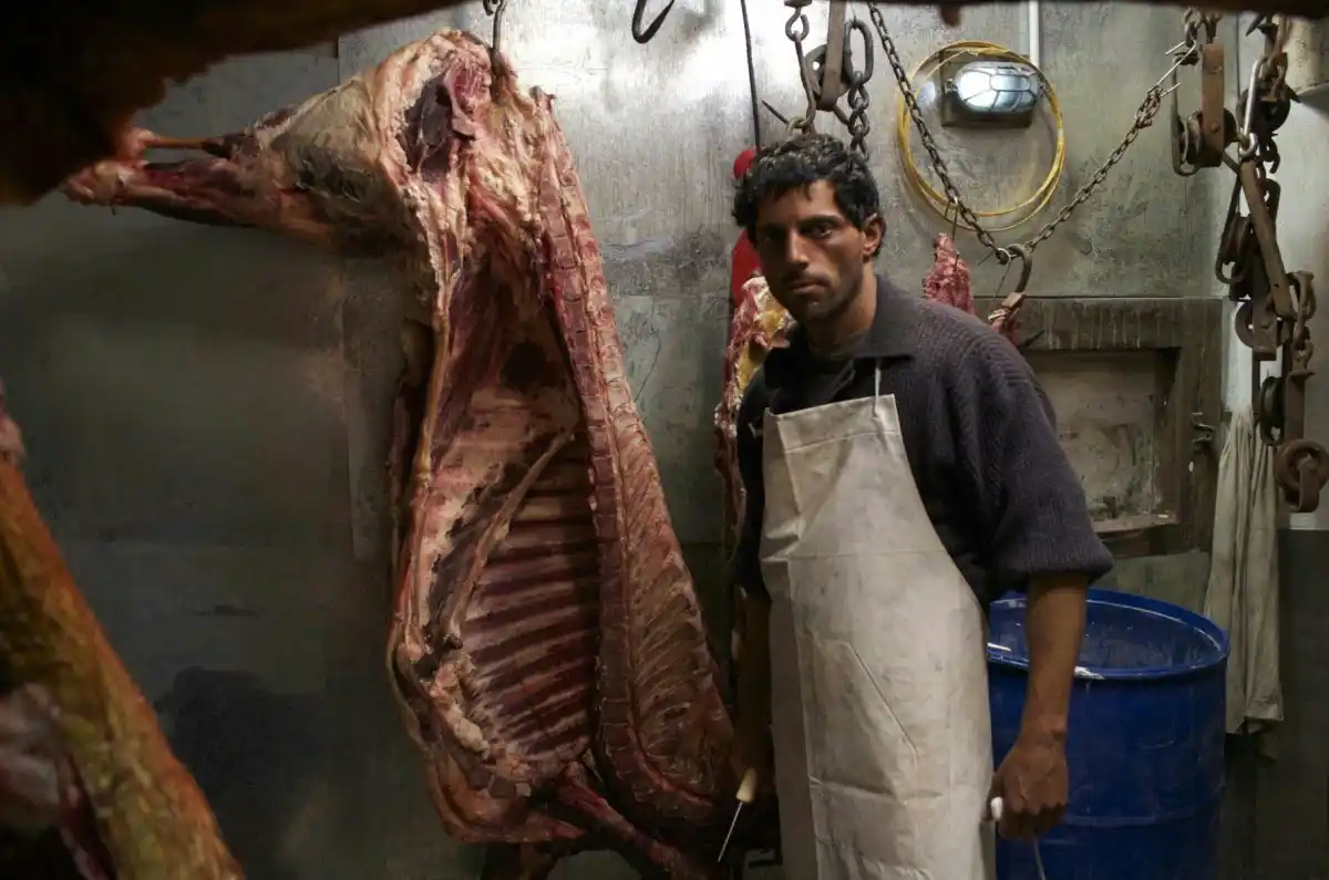 Ganadores de la 64° entrega de los Cóndor de Plata