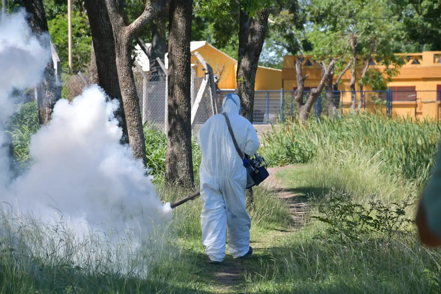 La lluvia y otra vez, el temor al dengue: cómo denunciar un criadero de mosquitos