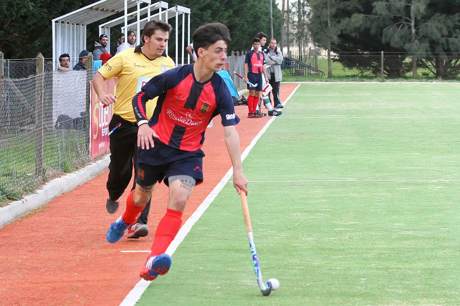 El crecimiento en su máxima expresión