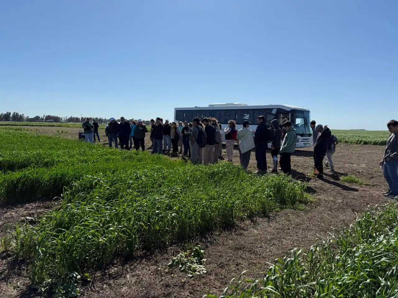 La Chacra de Barrow vivió un día de “Tranqueras Abiertas”