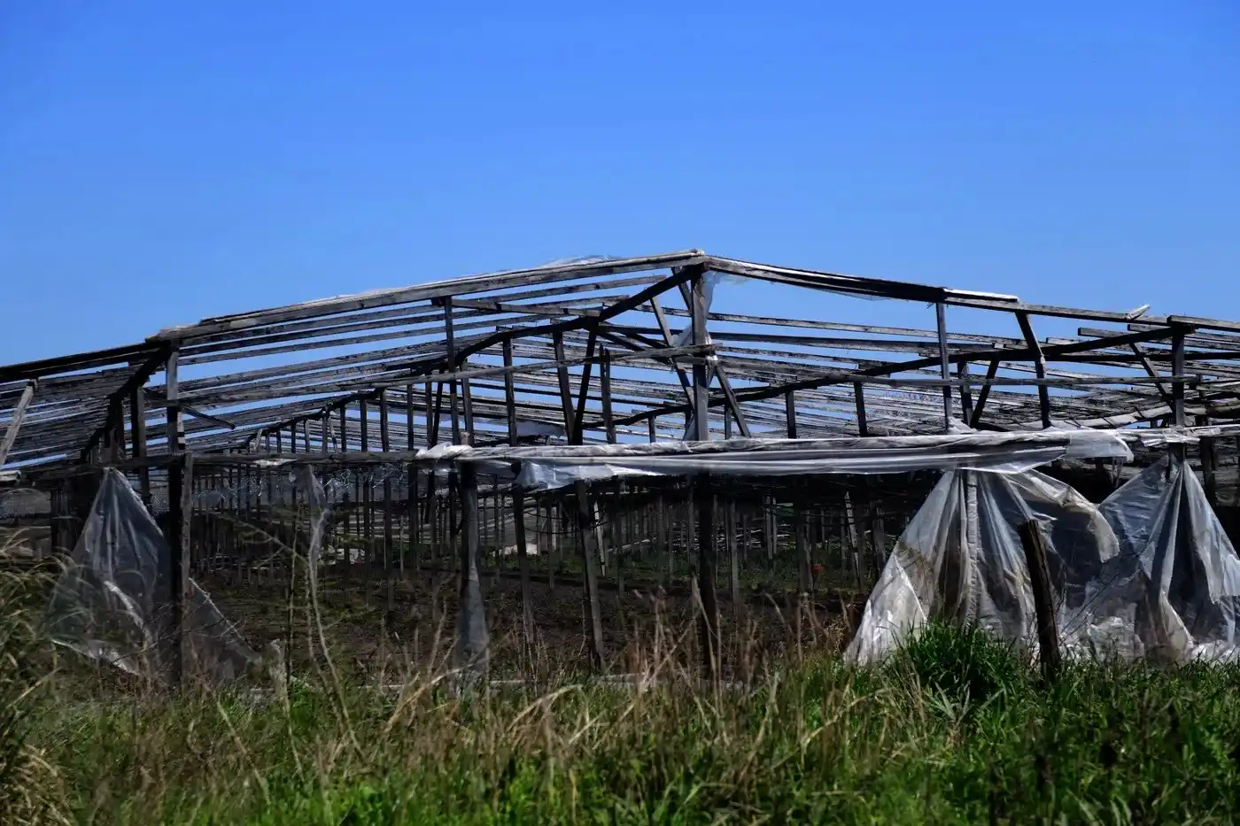 Se vieron afectadas las zonas de El Peligro, El Pato y Parque Pereyra.