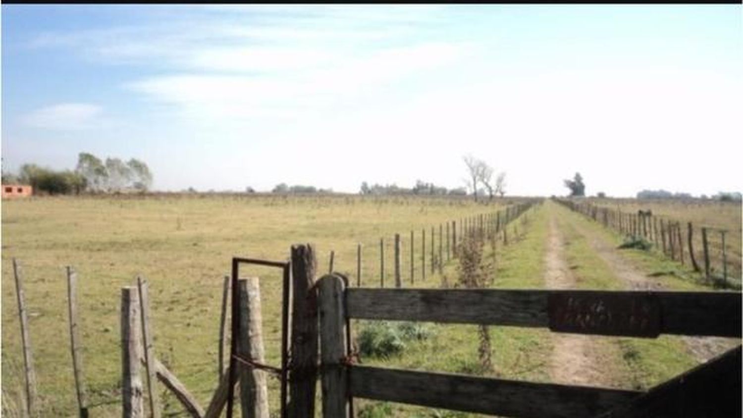 Fuerte aumento en la compraventa de tierras rurales durante mayo