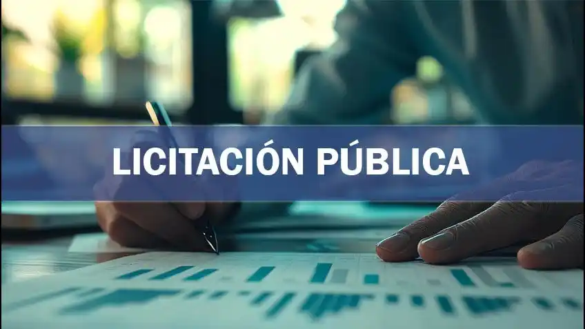 Licitación Pública N°: 03/2026