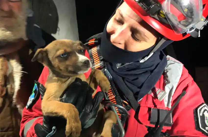 Pozos ciegos: "Una caída de este tipo para una persona puede ser mortal"