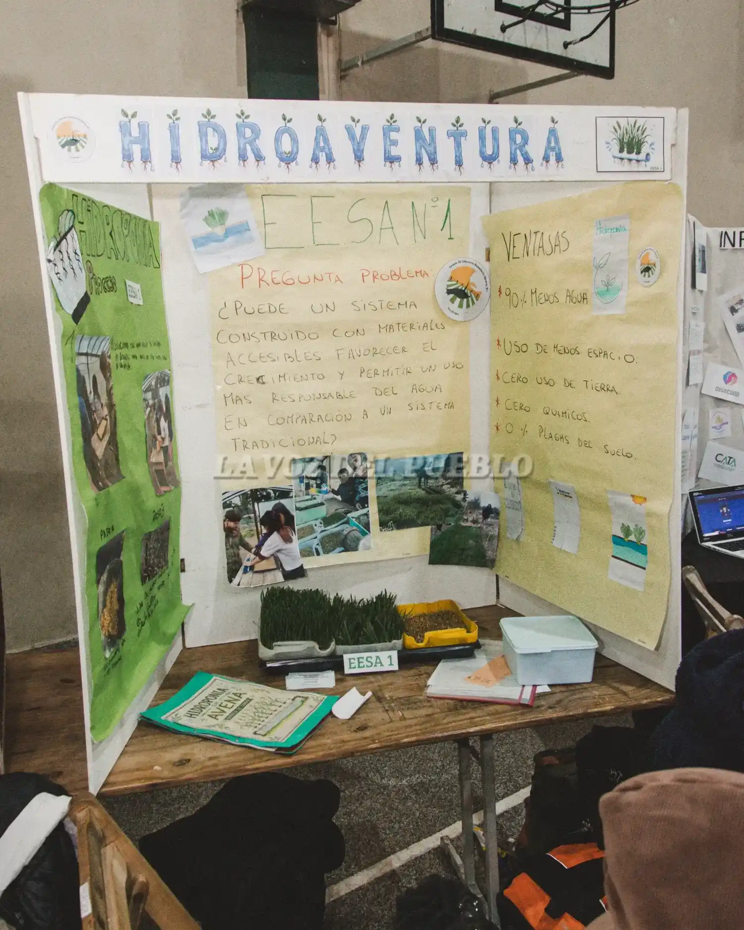 Feria de ciencias - 8