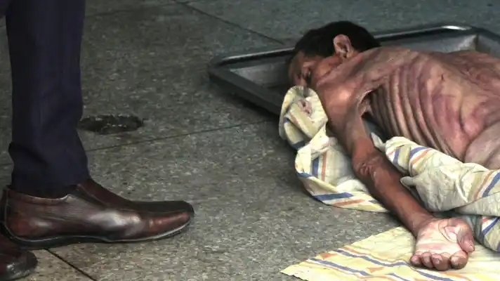 Van 53 REOS MUERTOS este año por distintas enfermedades en la Fénix de Lara