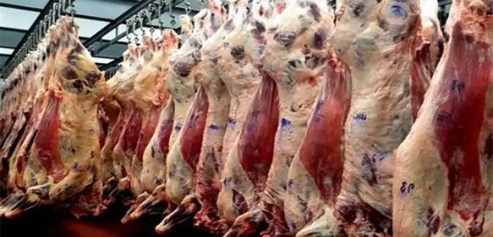 Las exportaciones de carne crecieron más del 40%: el papel de China