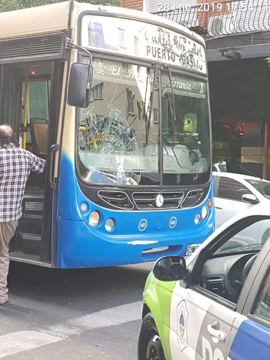 Mar del Plata: Colectivero atropelló a un delincuente que había asaltado a una mujer