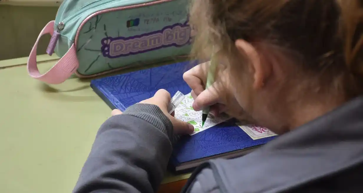 El plan santafesino Raíz sienta sus bases en la propuesta de la doctora Beatriz Diuk, licenciada en Ciencias de la Educación (UBA), doctora en Psicología (UNLP) e investigadora del Conicet. Crédito: El Litoral