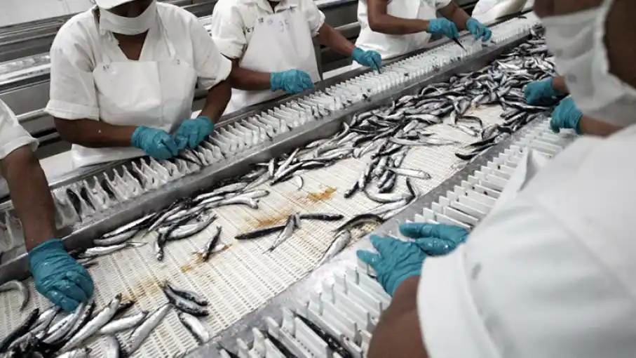 Los pesqueros en pie de guerra contra el Gobierno.