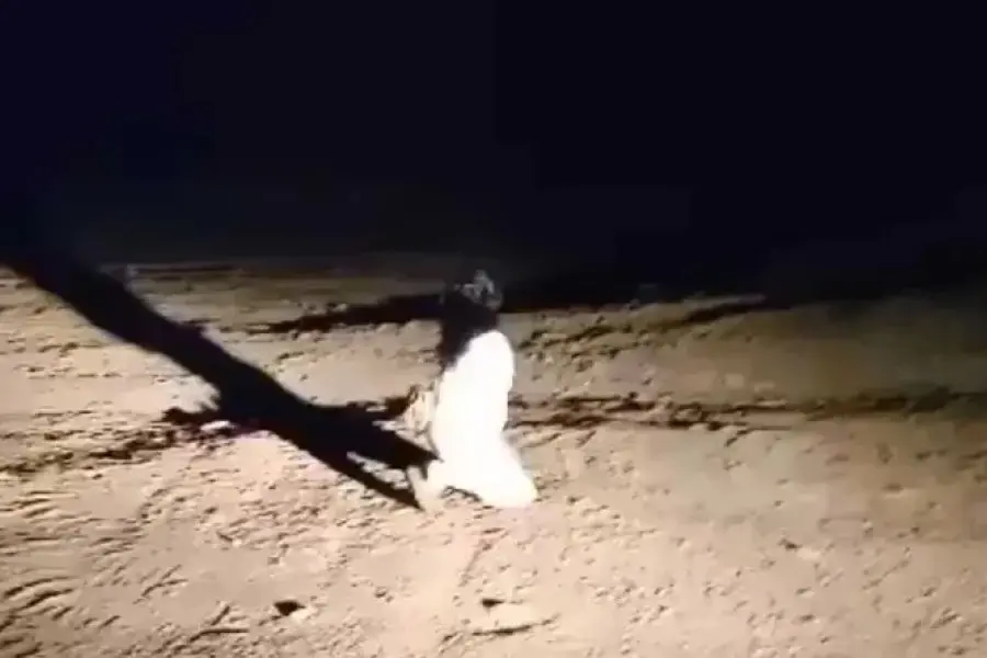Terror y preocupación en Tucumán: grabaron a una mujer “fantasma” caminando de noche en un cementerio