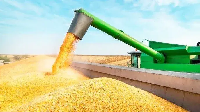 La producción de granos lleva a la actividad agropecuaria a un nuevo máximo histórico