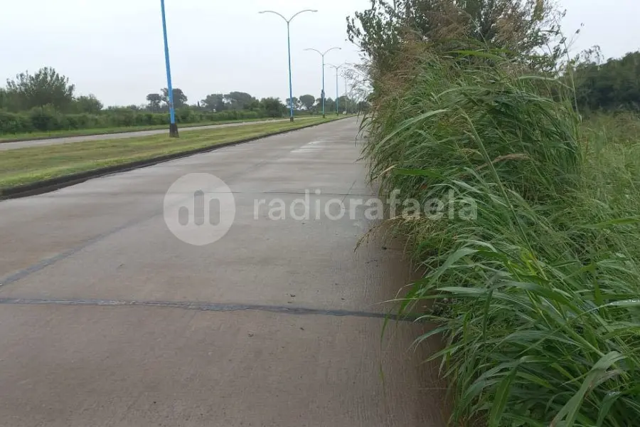 Higiene Urbana: Vecinos reclaman por la falta de mantenimiento de las calles de la ciudad