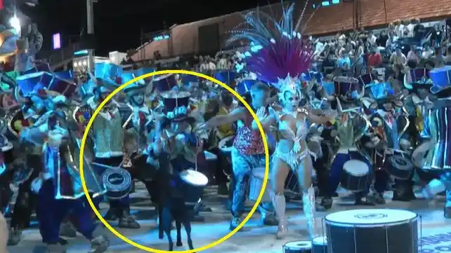 Indignación en las redes sociales