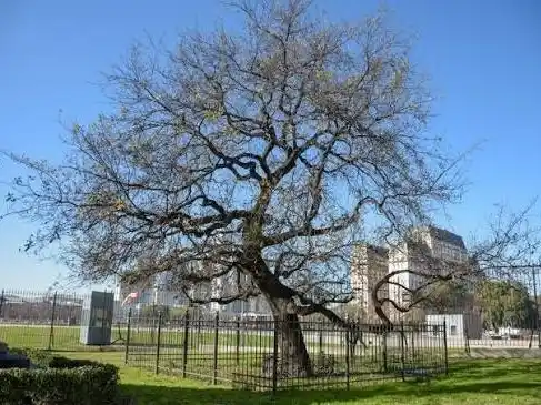 Sara Pagola Azpiri: encuentro con la cultura vasca y la memoria de Guernica