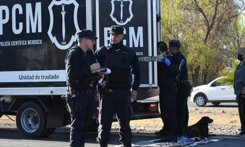 La pieza ósea estaba intacta.