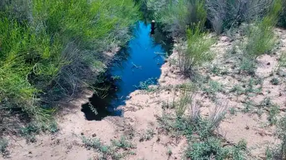 Exigirán "tareas de  remediación" en la zona del derrame de petróleo