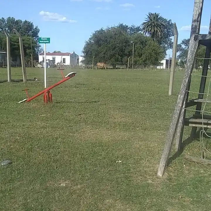 Octavo Distrito: intensifican tareas de corte de pasto y mantenimiento en espacios públicos