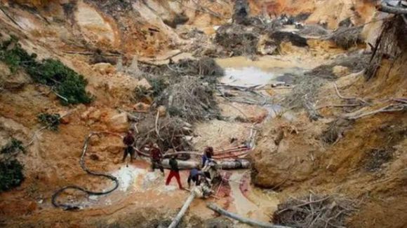 ¡LEONARDO DICAPRIO ALERTÓ SOBRE SITUACIÓN DE VENEZUELA! Denunció que sufrimos una de las deforestaciones más grandes del mundo