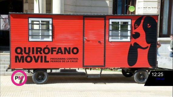 Continúa el cronograma de castración de mascotas