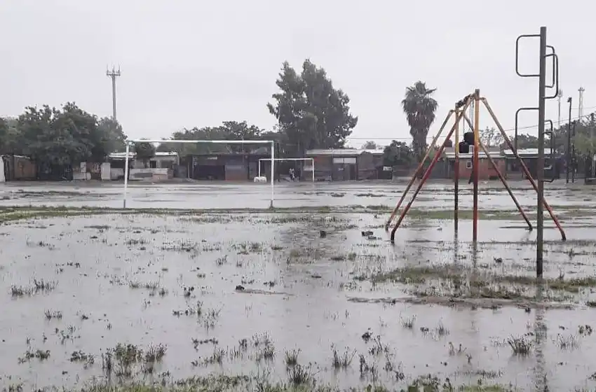 Árboles caídos y calles anegadas, lo que dejó el paso de la tormenta por Rosario