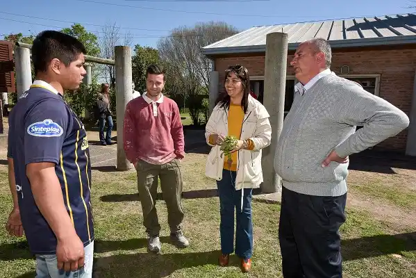 Comienza el debate en el Senado por la Ley contra el narcomenudeo 