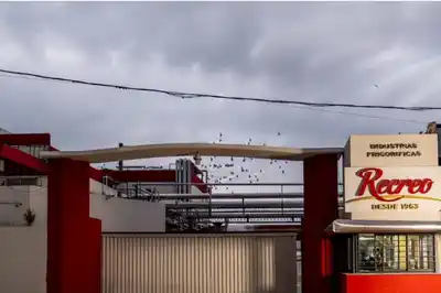 Noche de violencia en Recreo: un guardia de un frigorífico fue apuñalado en un intento de robo