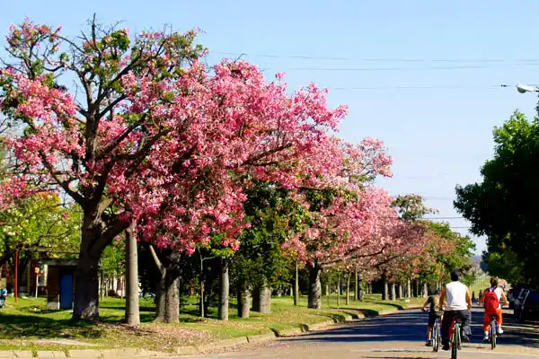 Villa Elisa, entre los ocho mejores pueblos turísticos de Argentina