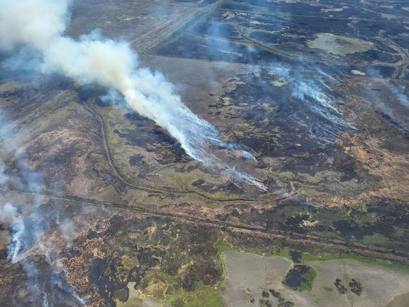Día internacional del cambio climático: sequía e incendios en el delta, dos problemáticas relacionadas