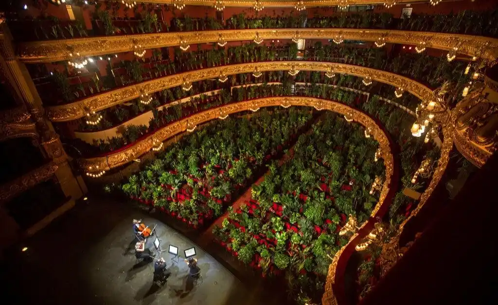 Barcelona: utilizaron plantas como público para un concierto