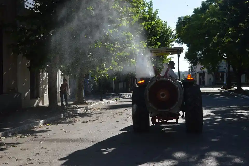 El dengue hizo su incursión en Victoria