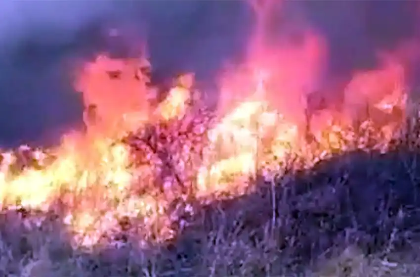 Siete provincias continúan afectadas por incendios forestales