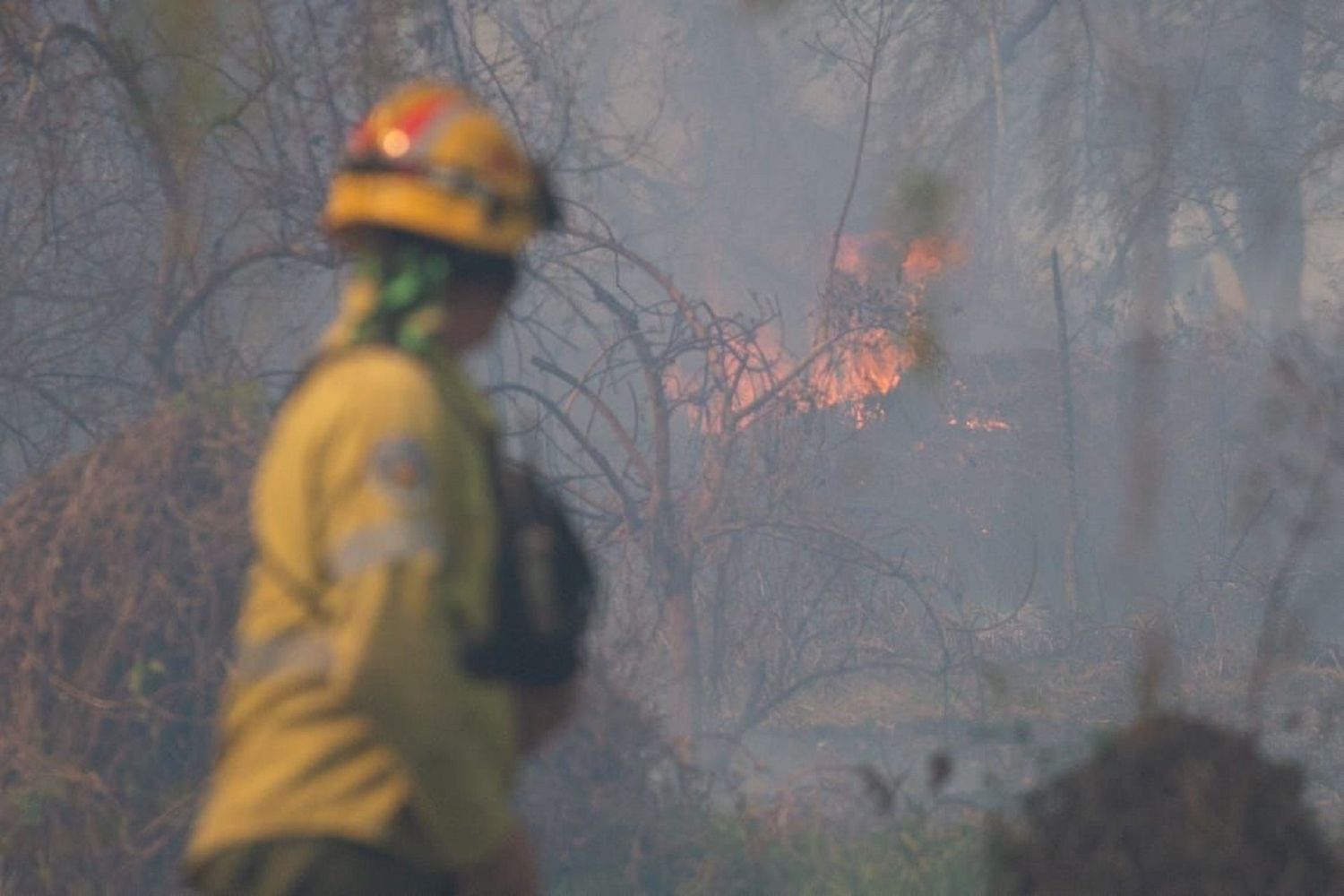 Acciones para seguir acortando la temporada de incendios