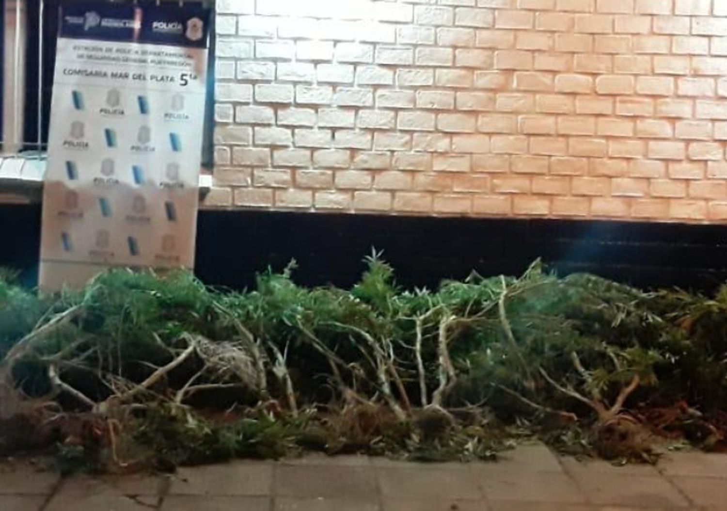 Se electrocutó con el alambre perimetral que tenía en su casa para proteger plantas de marihuana