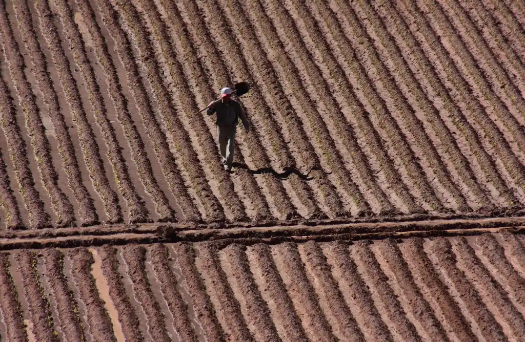 «El agua en imágenes» tiene sus ganadores