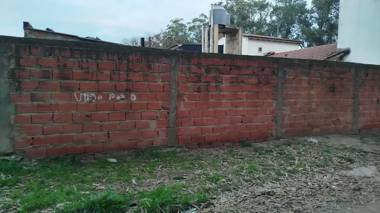 Lugar por el que ingresó a robar