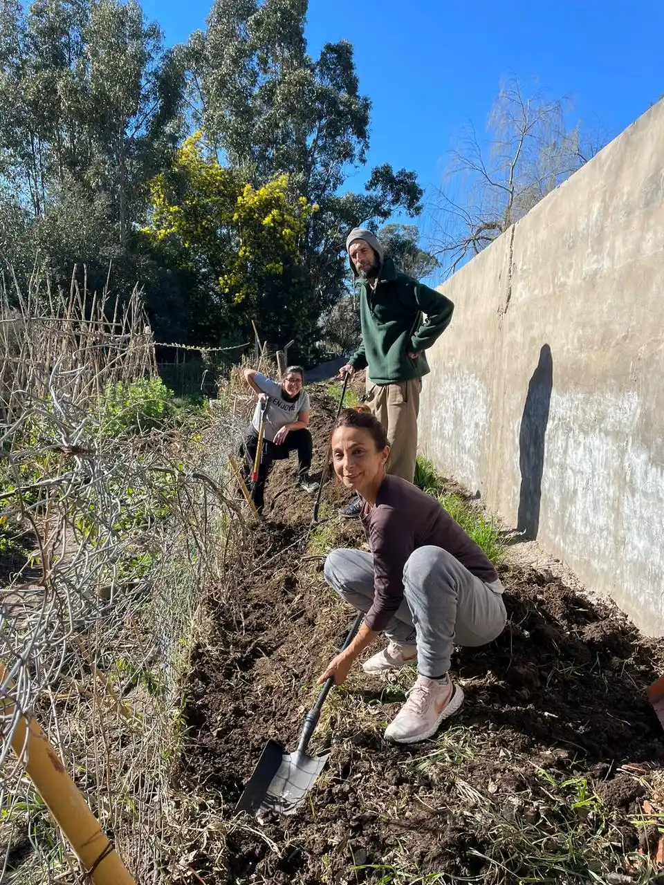 Cooperativa EsTan Dil Tomate - 1