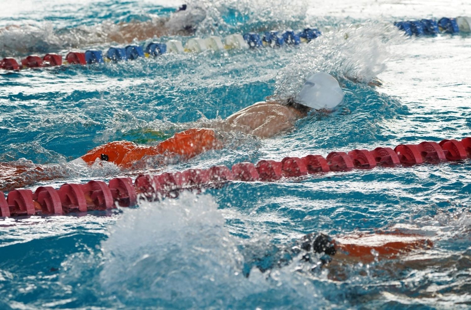 Se presentó el Torneo Latinoamericano de Salvamento Acuático Deportivo