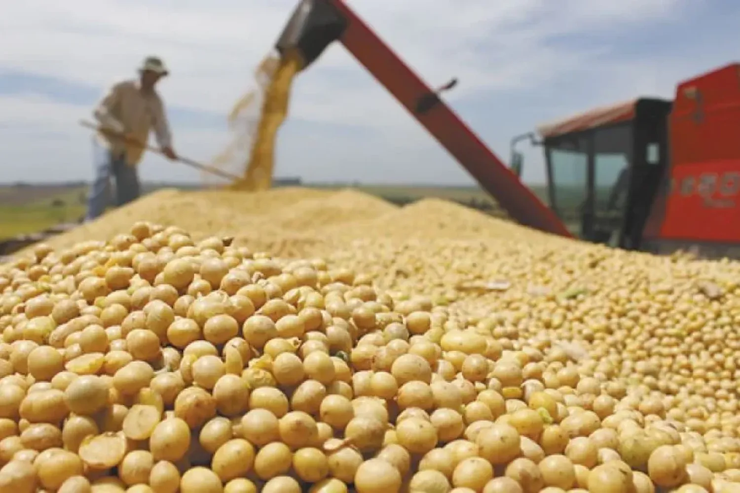 Las exportaciones agroindustriales crecieron un 51% en volumen en lo que va del año