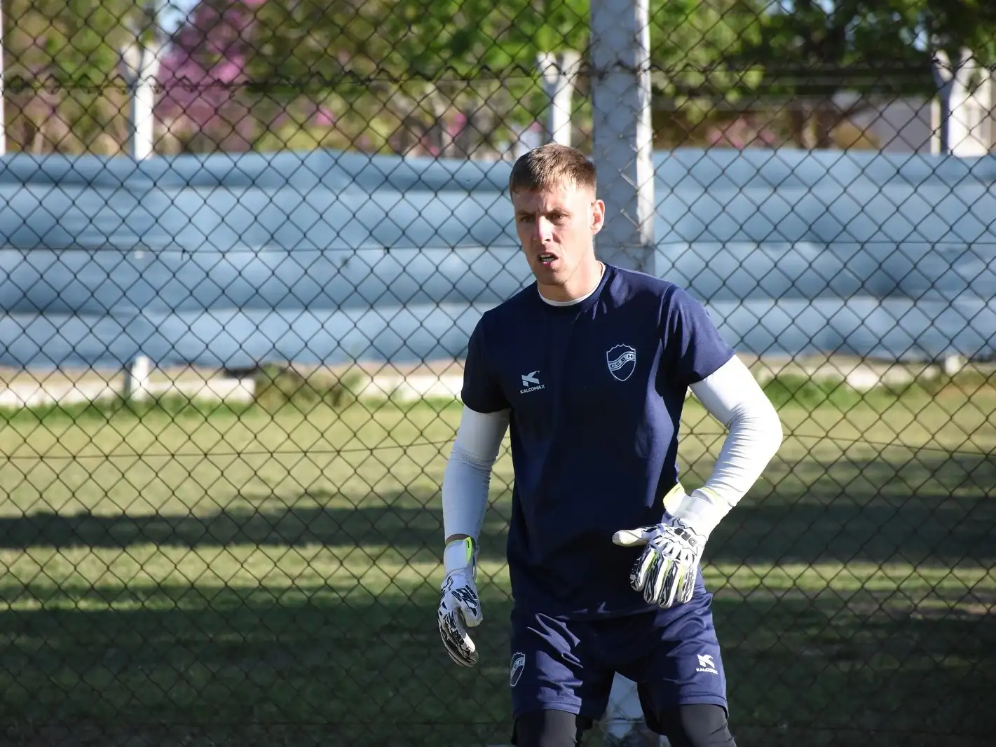 pedro bravo