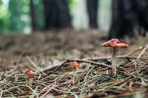 Culminó la primera etapa de un concurso fotográfico