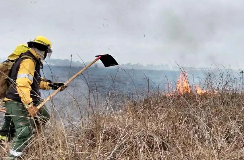 La impactante foto que se viralizó sobre los incendios en las islas