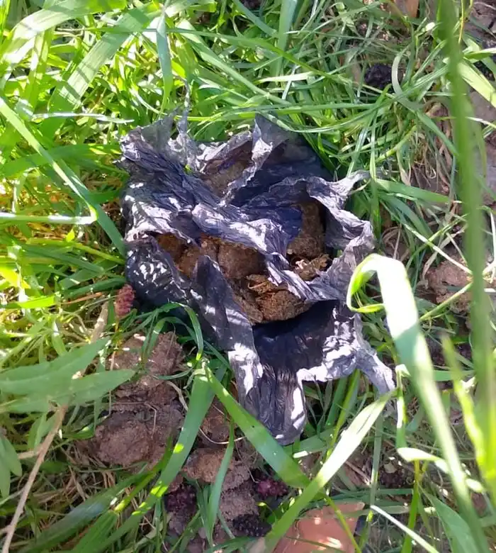 Secuestraron un revólver, marihuana y celulares en un operativo en barrio Mora - 3