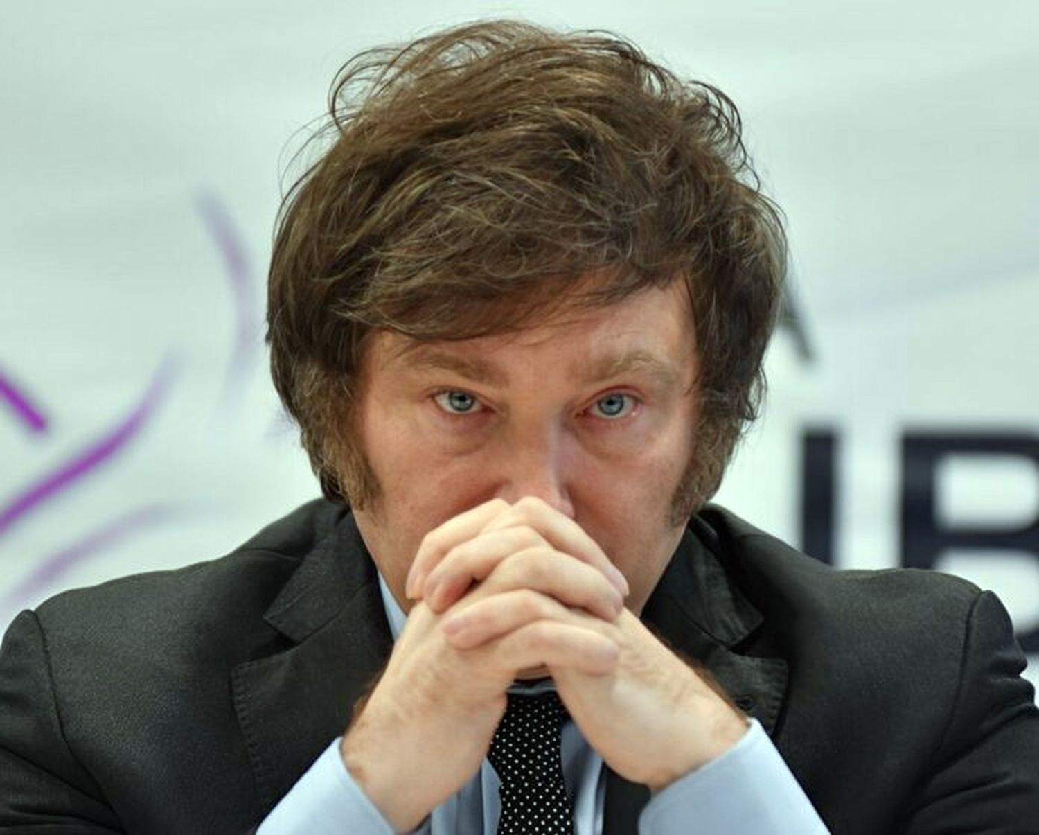 El presidente Javier Milei.