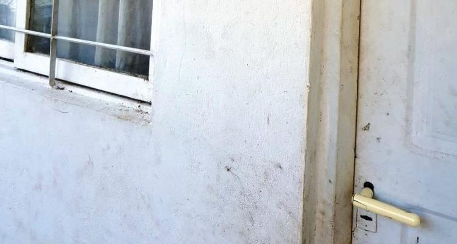 El gobierno intervino en el caso de la madre que abandonó a sus hijos y colaborará para que los abuelos obtengan la tenencia